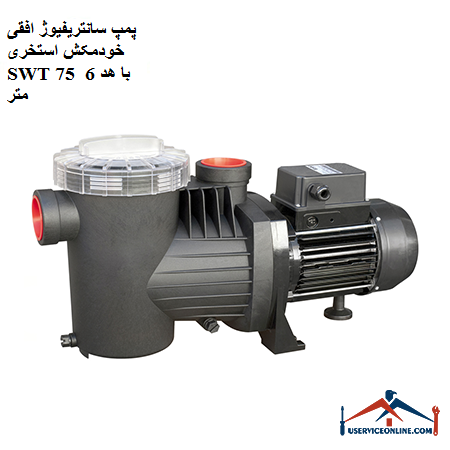SWT 75 pool self-priming horizontal centrifugal pump with 6 m head پمپ سانتریفیوژ افقی خودمکش استخری SWT 75 با هد 6 متر