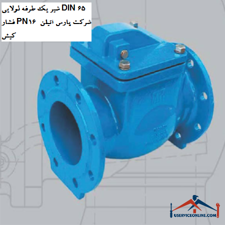 One-way hinged valve DIN 65 pressure PN16 Pars Ethylene Kish Company شیر یک طرفه لولایی DIN 65 فشار PN16 شرکت پارس اتیلن کیش