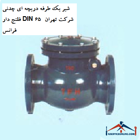 One-way valve with cast iron flanged valve DIN 65, Tehran France Company شیر یک طرفه دریچه ای چدنی فلنج دار DIN 65 شرکت تهران فرانس