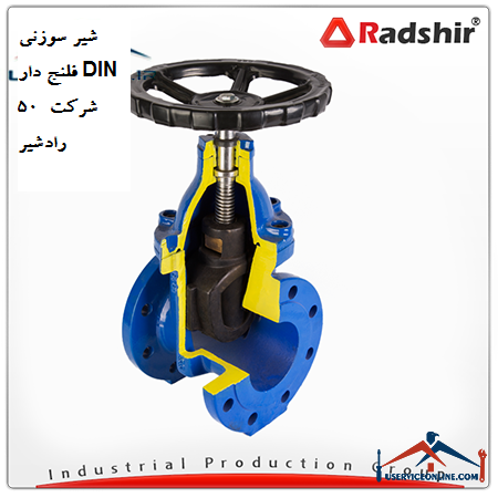Radshir DIN 50 flanged needle valve شیر سوزنی فلنج دار DIN 50 شرکت رادشیر