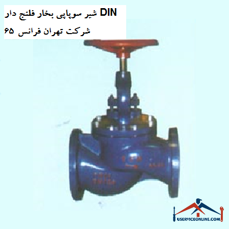 Steam valve with flanged valve DIN 65 Tehran France company شیر سوپاپی بخار فلنج دار DIN 65 شرکت تهران فرانس